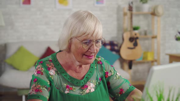 Old Woman Uses a Laptop While Sitting in the Living Room Close Up alt