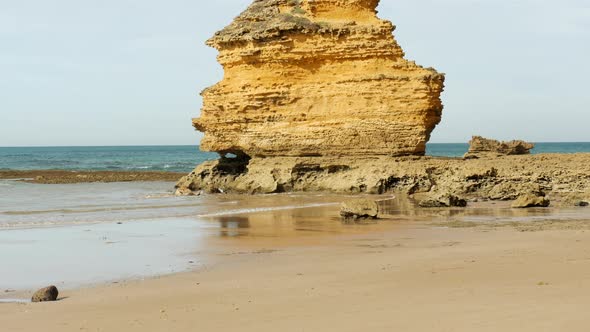Jagged limestone formation located at an Australian coastal beach. LOW ANGLE. TILT UP. alt