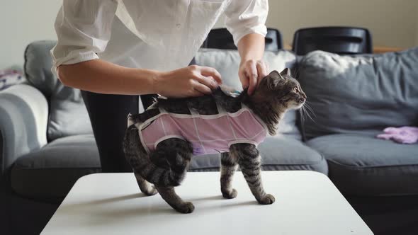 Woman at Home Doing Subcutaneously Injection to the Cat alt