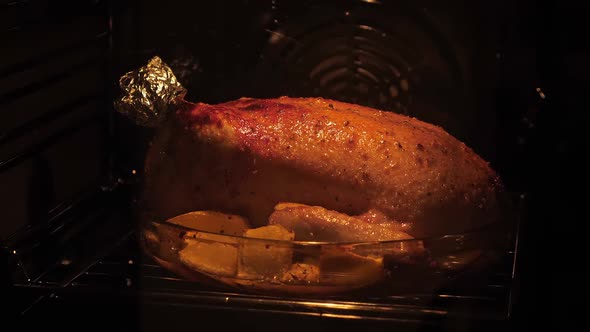 Cooking Whole Duck in Oven alt
