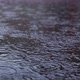 Raindrops drip into a puddle. - VideoHive Item for Sale