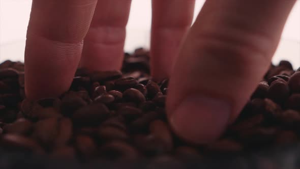 Coffee beans and cup in the making of a cup of coffee 11 alt