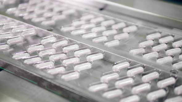 Blister Packs with Medication Capsules Moving Along the Conveyor alt