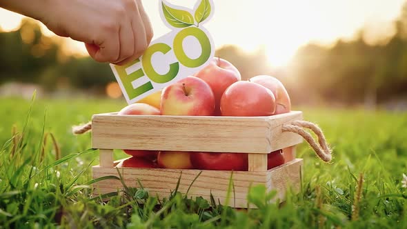 Hand puts an eco inscription on a wooden box with tasty fresh apples