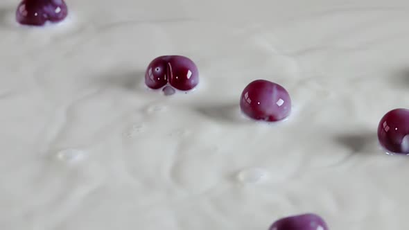 Several Cherries Take Off From the Surface of the Milk