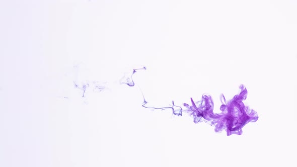 Isolated Purple Violet Ink Cloud in Macro Slow Motion on White Background Framed for Vertical Video