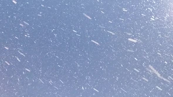 Fly Snow Nature On Street alt