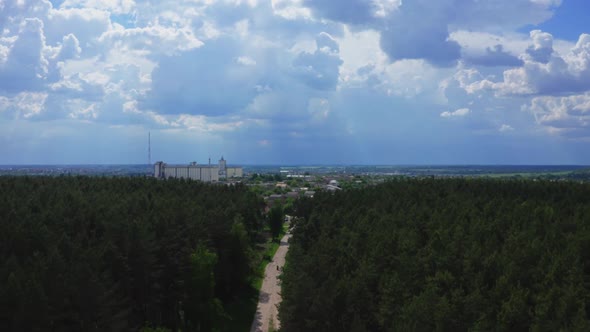 Flying Over The Fringe Of The Forest To The City alt