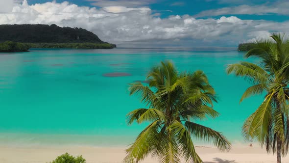 Port Orly sandy beach with palm trees, Espiritu Santo Island, Vanuatu alt