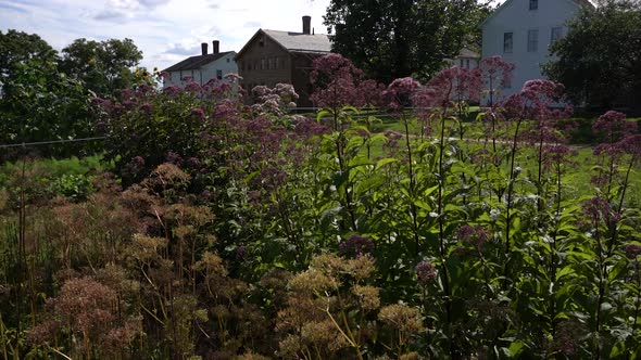 Tilt Up From Garden To Old Shaker Style Homes In The Background