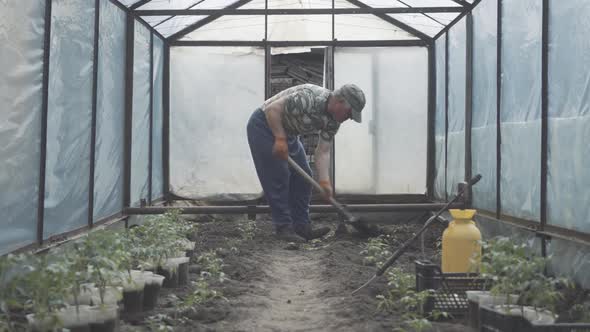 Grey-haired Caucasian Man Digging Ground with Shovel in Greenhouse. Side View of Senior Farmer alt