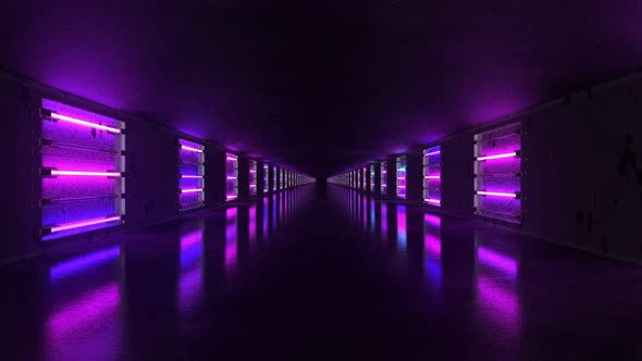Neon Tunel alt