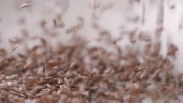 Lin seeds and rice falling slow motion
