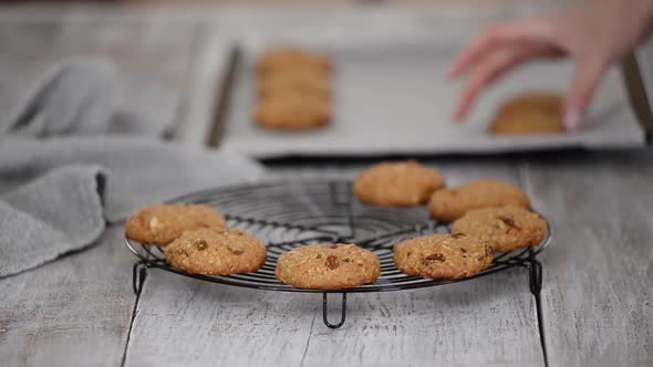 Freshly Baked Oatmeal Cookies with Nuts Raisins on Cooling Rack