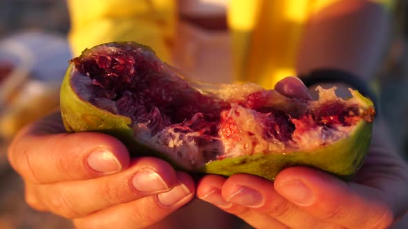 Woman's Hands Opening a Fig to Eat alt