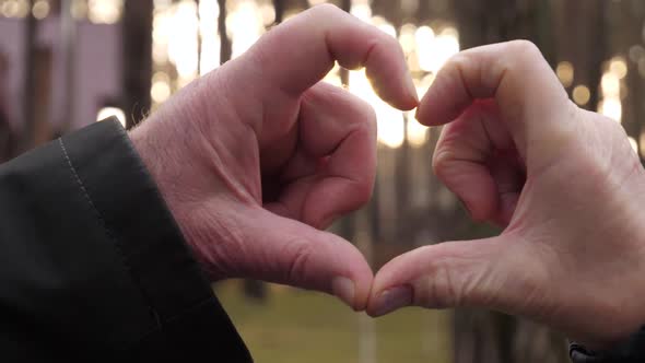 Heart Gesture with Fingers