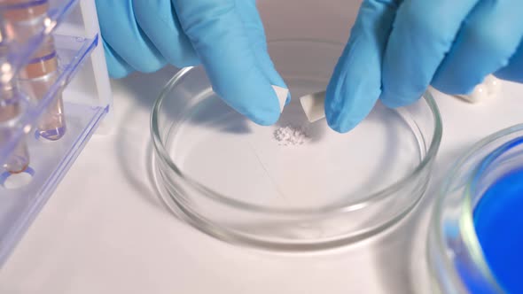 A Scientist Is Testing a Medicine alt