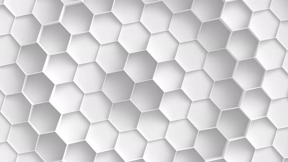 White Hexagon Background