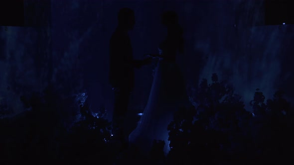 A Newlywed Couple Kiss Under Sparkling Sparkling Confetti at a Nightclub Reception