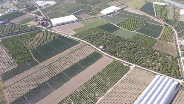 Aerial Greenery Farmland alt