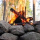 Burning Campfire in the Forest - VideoHive Item for Sale