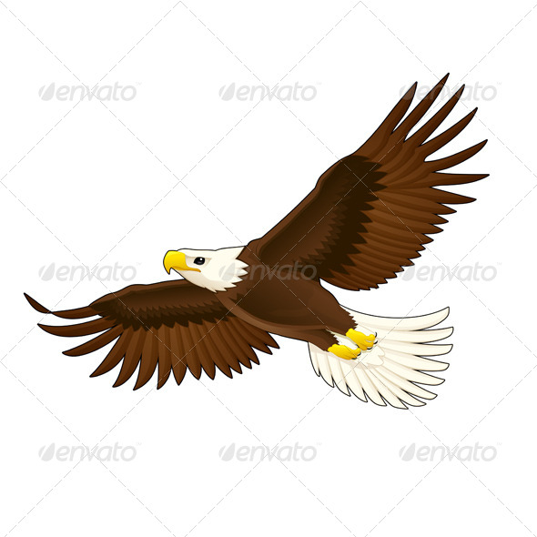 American Eagle - Animals Characters