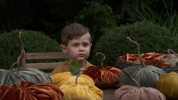 Little kid boy sits at table with a lot of handmade fabric pumpkins in garden