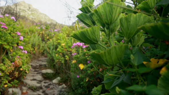 Male hiker walking with backpack in countryside alt