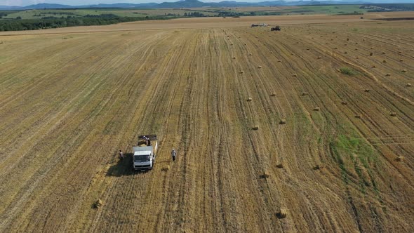 Men Load Baled Straw In A Truck alt