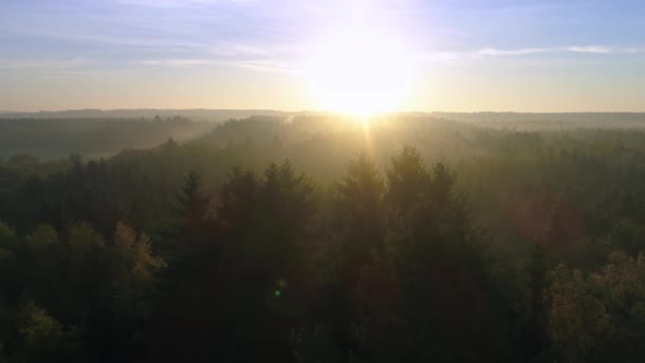 Aerial View of Beautiful Forest Landscape at Sunrise