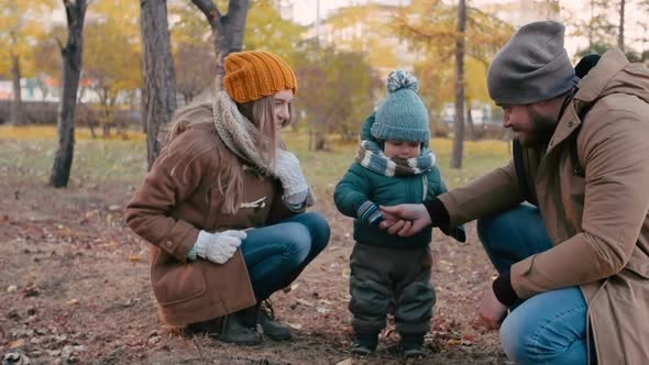 Playing with Pine Cone alt