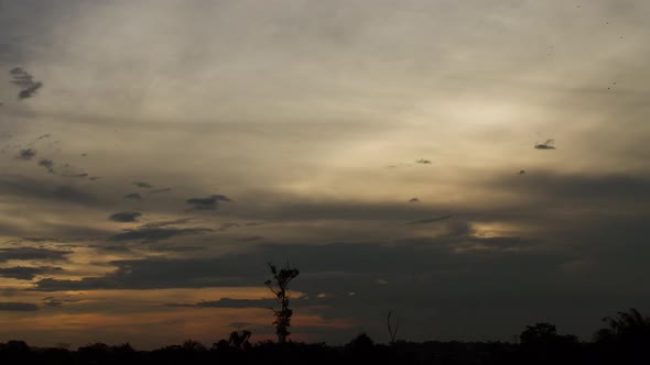 4K Time lapse - Sunset and rain clouds at the Amazon rain forest,