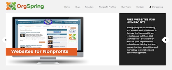 Orgspring%20web%20page%20screenshot%20590x242