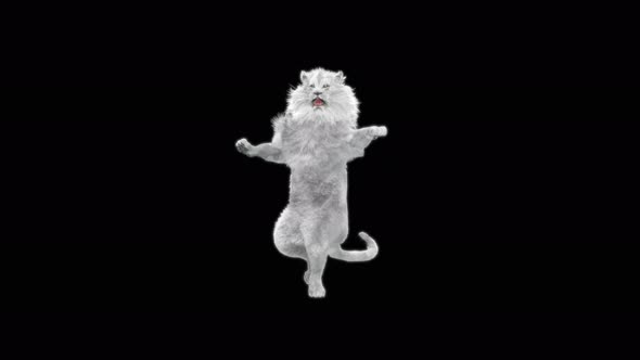 White Lion Dancing 4K alt
