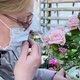 Senior woman in a medical mask sniffs pink potted roses. Flowers as a gift - VideoHive Item for Sale