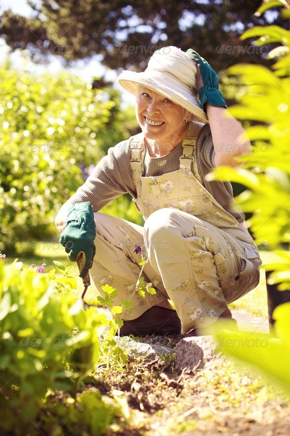 Happy older woman gardening Stock Photo by jacoblund | PhotoDune