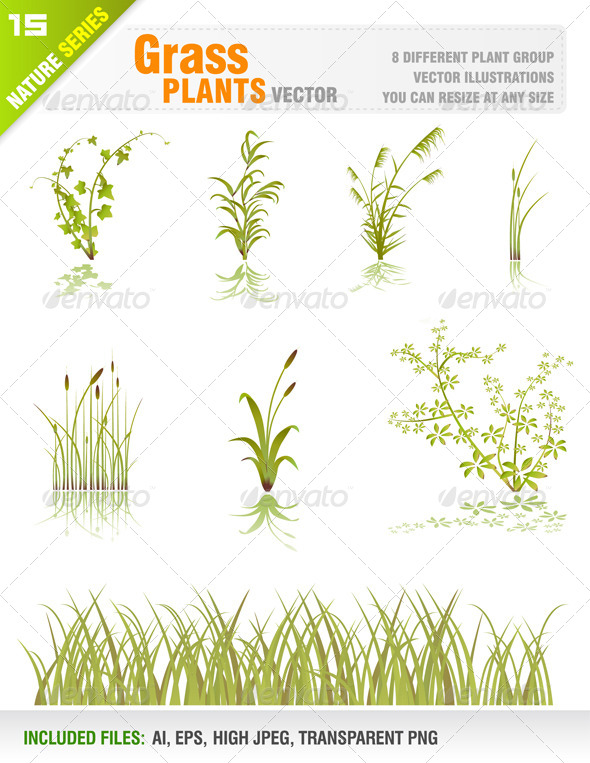 Grass Plant Set - Flowers & Plants Nature