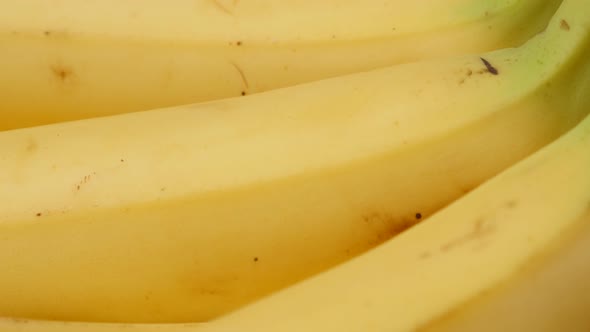 Exotic banana fruit in a row 4K 2160p 30fps UltraHD tilt footage - Musa acuminata and Musa balbisian alt