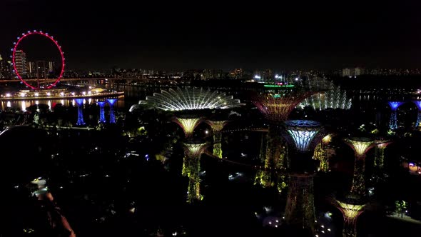 Aerial Night View of Gardens By The Bay, Singapore.