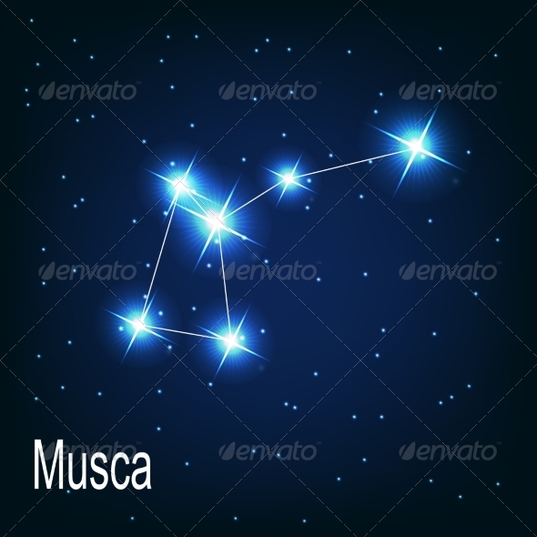 The Constellation Musca - Decorative Symbols Decorative