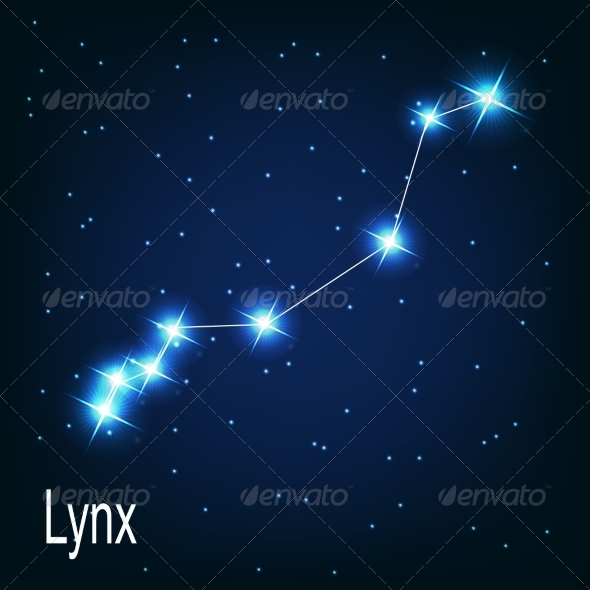 The Constellation Lynx - Decorative Symbols Decorative