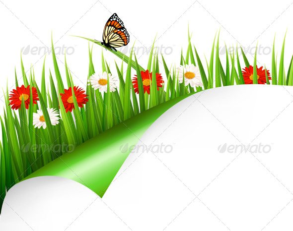 Spring Background with Flowers, Grass and Butterfly - Flowers & Plants Nature