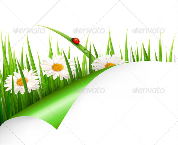 Spring Background with Flowers, Grass and Ladybug - Flowers & Plants Nature