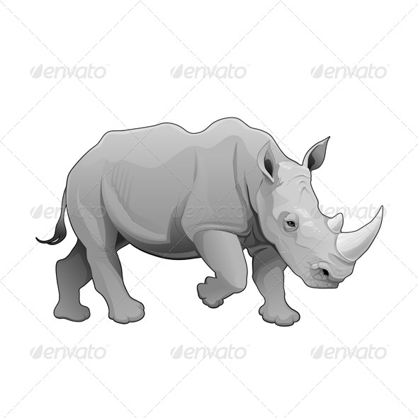 Rhinoceros - Animals Characters