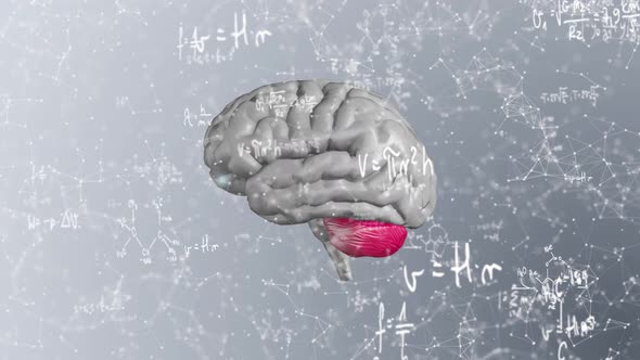 Gray Plexus Brain Formula