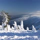 Winter Forest In The Mountains - VideoHive Item for Sale