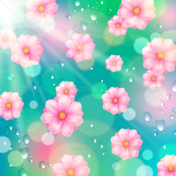 Pink Spring Flowers and Water Drops. - Flowers & Plants Nature