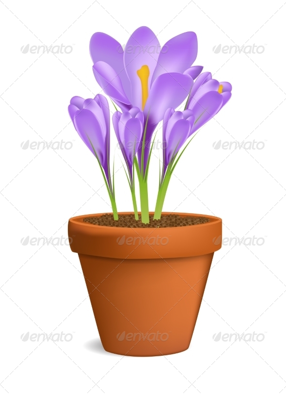 Flowerpot - Backgrounds Decorative