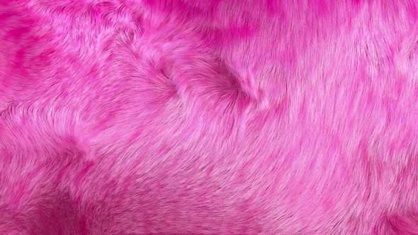 furry pink