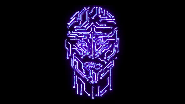 Electronic Person's Face